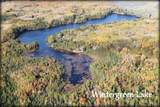 W4945 Wintergreen Lake Rd - Photo 98