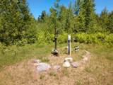 Off Forest Rd - Photo 45