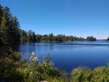 Off Forest Rd - Photo 50