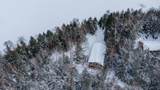 12698 Birch Trail Rd - Photo 46