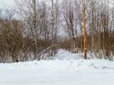 ON Scovia Ave - Photo 15