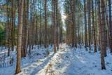 Off Deerskin Rd - Photo 19