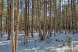 Off Deerskin Rd - Photo 20