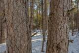 Off Deerskin Rd - Photo 21