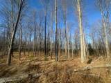 Lot 7 Mud Lake Rd - Photo 2