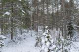 ON River Rd - Photo 8