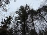 Lot 5 Swamp Lake Rd - Photo 10
