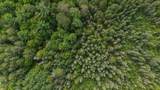 Lot 5 Swamp Lake Rd - Photo 15