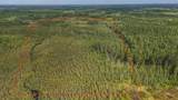Lot 5 Swamp Lake Rd - Photo 19