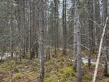 Lot 5 Swamp Lake Rd - Photo 6