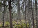 Lot 5 Swamp Lake Rd - Photo 8