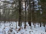 Lot 4 Swamp Lake Rd - Photo 4