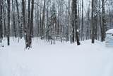 8341 Keith Siding Rd - Photo 47