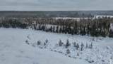 2 acres Bobcat Rd - Photo 12