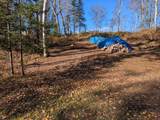 2 acres Bobcat Rd - Photo 31