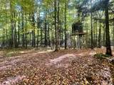 3694 Deep Woods Trl - Photo 5