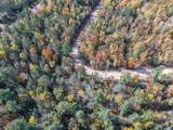 Lot 22 Butternut Cir - Photo 1