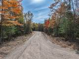 Lot 22 Butternut Cir - Photo 6