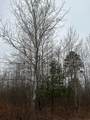 ON Burrows Lake Rd - Photo 2