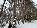 ON Wolf Rd - Photo 5