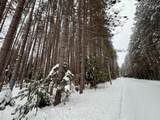 ON Wolf Rd - Photo 7