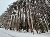 ON Wolf Rd - Photo 8
