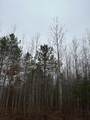ON Burrows Lake Rd - Photo 1