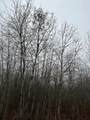 ON Burrows Lake Rd - Photo 2