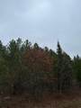 ON Lois Rd - Photo 2