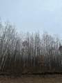 ON Prairie Lake Rd - Photo 2