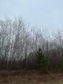 ON Prairie Lake Rd - Photo 2