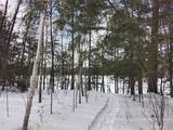 12605 Elsie Lake Ln - Photo 31