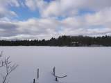 12605 Elsie Lake Ln - Photo 33