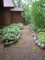 12605 Elsie Lake Ln - Photo 35