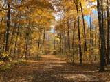 12605 Elsie Lake Ln - Photo 40
