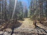 4 AC on Bass Lake Rd - Photo 11