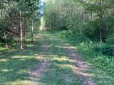 W3269 Blockhouse Lake Rd - Photo 12