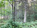 W3269 Blockhouse Lake Rd - Photo 13