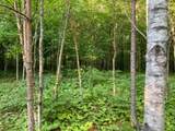 W3269 Blockhouse Lake Rd - Photo 20