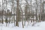 667 Hwy 45 - Photo 67