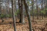 OFF Eagle Waters Rd - Photo 13