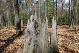 OFF Eagle Waters Rd - Photo 16