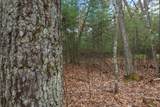 Off Norway Pine Dr - Photo 11