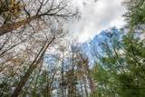 Off Norway Pine Dr - Photo 14