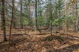 Off Norway Pine Dr - Photo 4