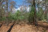 Off Norway Pine Dr - Photo 6