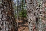 Off Norway Pine Dr - Photo 7