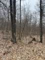 153 Acre Other - Photo 11