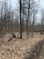 153 Acre Other - Photo 12