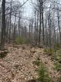 153 Acre Other - Photo 13